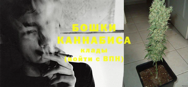 apvp Пересвет