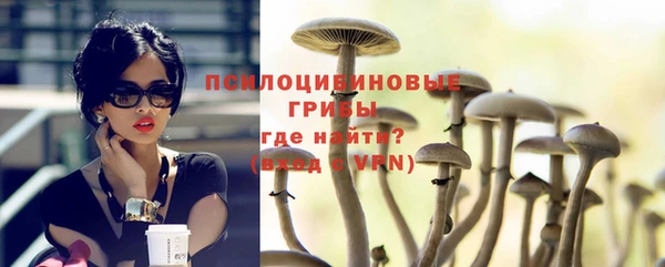 apvp Абдулино