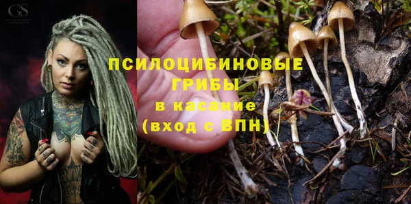 каннабис Абаза