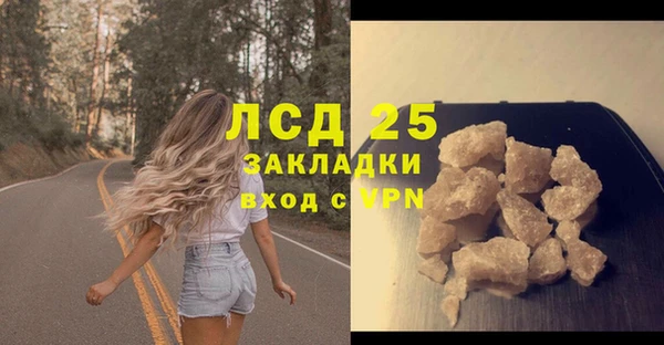 PSILOCYBIN Абинск